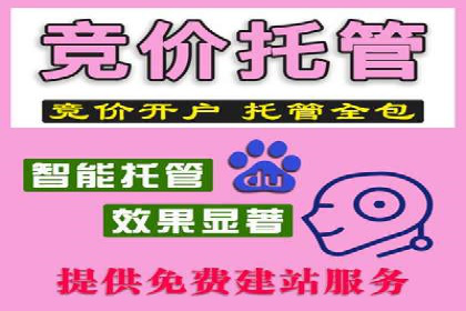 百度竞价广告投放案例：关键词策略与效果对比
